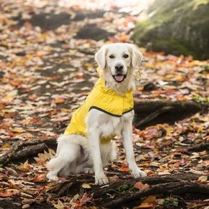GF Pet waterproof, reversible raincoat